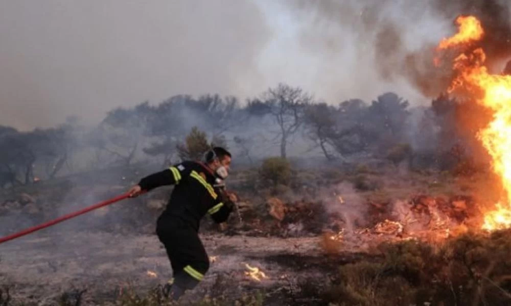 Πυρκαγιά ξέσπασε στον Ωρωπό Αττικής